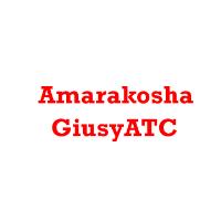 Amarakosha Driving Institute image 1