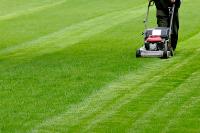 Bloomington Lawn care Services image 2