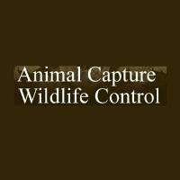 Animal Capture Wildlife Control image 1