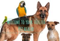 Pet Healing Service image 1