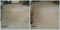 Clean Pros Carpet Cleaning image 2