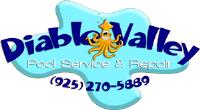 Diablo Valley Pool Service & Repair image 4