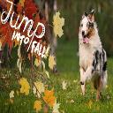 Uptown Hound Doggy Day Spa logo