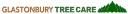 Glastonbury Tree Care logo