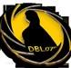 DBL07 Consulting Tampa Web Design logo