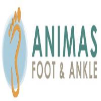 Animas Foot & Ankle Gallup image 1