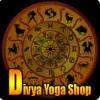 Divyayoga Ashram logo