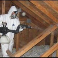 First Choice Pest Control image 2