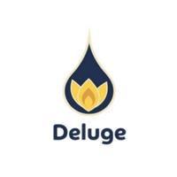 Deluge Digital Marketing image 1