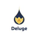 Deluge Digital Marketing logo