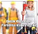 Quick Plumbing Paradise Valley Inc logo