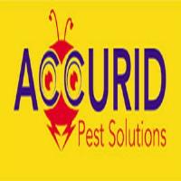 Accurid Pest Solutions Inc. image 1