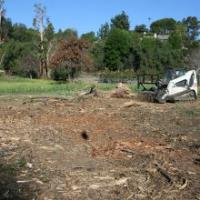Down to Earth Land Clearing Solutions, Inc image 1