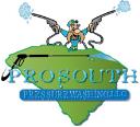 ProSouth Pressure Washing logo