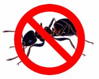 Integra Termite & Pest Control image 2