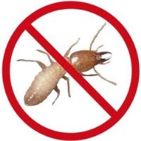 Integra Termite & Pest Control image 6