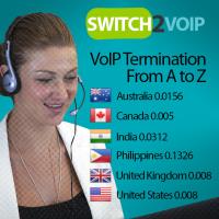 Switch2voip.us image 1