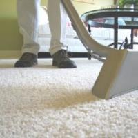Newtown Carpet Cleaners image 1