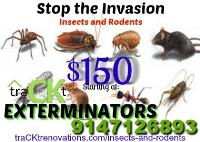 traCKt Exterminators image 1