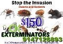 traCKt Exterminators logo