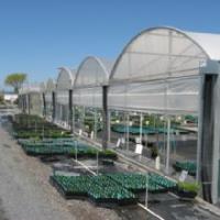 Southern Oregon Greenhouses and Grow Supplies image 3