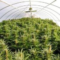  Southern Oregon Greenhouses and Grow Supplies image 4