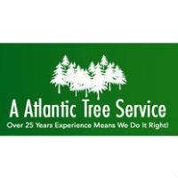 A Atlantic Tree Service image 1
