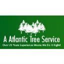 A Atlantic Tree Service logo
