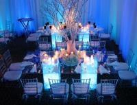 CERF - Creative Event Rentals and Furnishings image 4