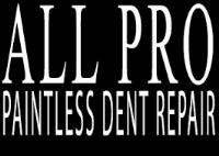 All Pro Paintless Dent Repair image 1