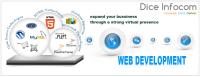 Dice Infocom: Web Development Company in Jaipur image 3