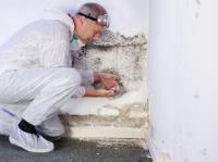 My Mold Removal NYC image 4