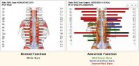 Health 1st Chiropractic and Rehabilitation image 7