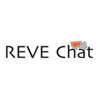 REVE Chat image 2