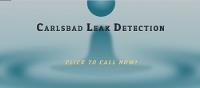 Carlsbad Leak Detection image 1