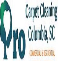 Pro Carpet Cleaning SC image 1