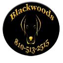 Blackwoods Labradors logo