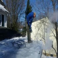Professional Steam Ice Dam Removal image 2