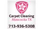Carpet Cleaning Atascocita TX logo