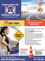 Driving Safe TX image 2