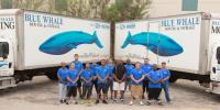 Blue Whale Moving Company Inc. image 2