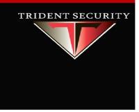 Trident Security Services Inc. image 1