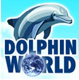 Dolphin World image 1