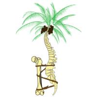 Spine and Orthopedic Specialists of South Florida image 2