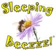 Sleeping Beezzz! Honey LLC logo