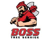 Boss Tree Service image 1