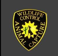 Animal Capture Wildlife Control image 1