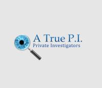 A True P.I. Private Investigator image 1