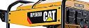 RP3600 Cat logo