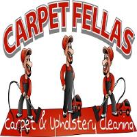 carpetfellas image 1